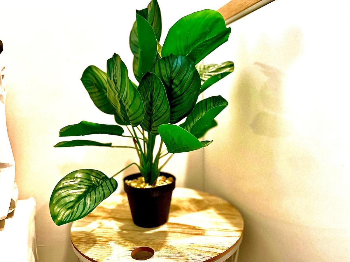 *tropical*hyper Centre *fibre Wifi*studio Apartment